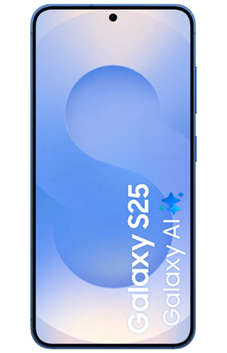 Samsung Galaxy S25 256GB